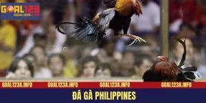 Giới Thiệu sảnh đá gà Philippines tại Goal123